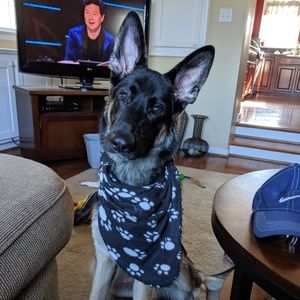 Meet your Posher, Pk